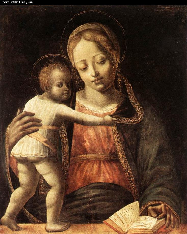 BUTINONE, Bernardino Jacopi Madonna and Child fdg